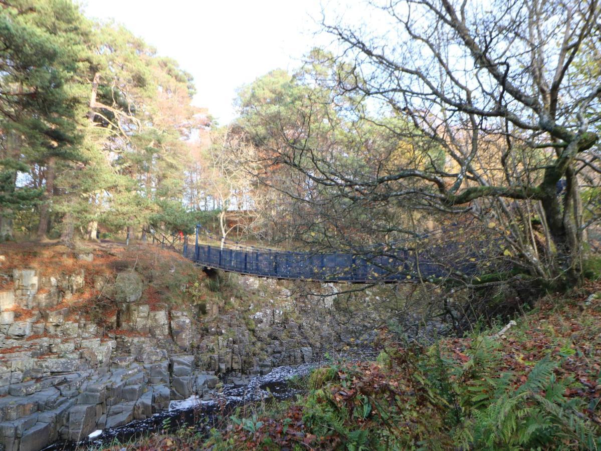 Bramblewood Cottage 米德尔顿因蒂斯代尔 外观 照片